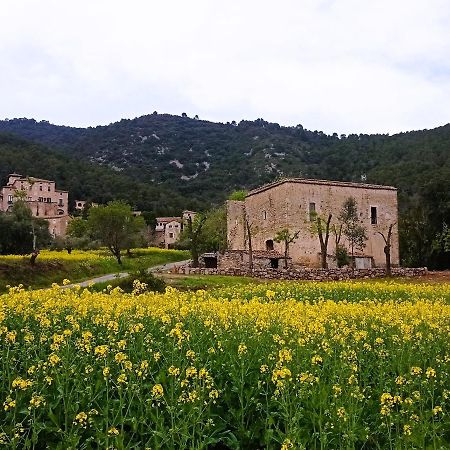 Apartmán El Castell De Seguero Beuda Exteriér fotografie