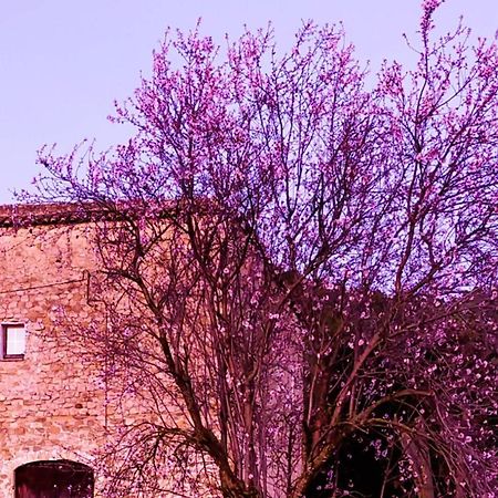 Apartmán El Castell De Seguero Beuda Exteriér fotografie