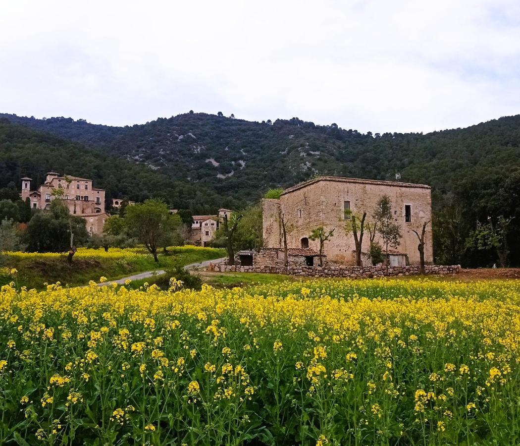 Apartmán El Castell De Seguero Beuda Exteriér fotografie