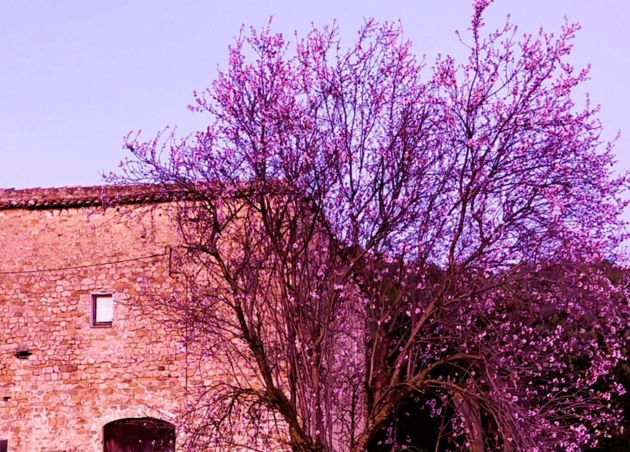 Apartmán El Castell De Seguero Beuda Exteriér fotografie