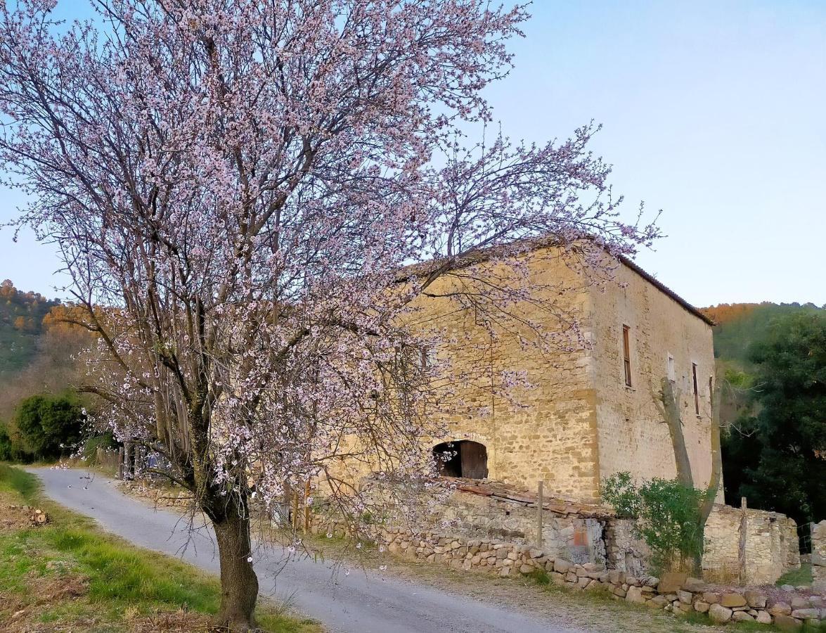 Apartmán El Castell De Seguero Beuda Exteriér fotografie